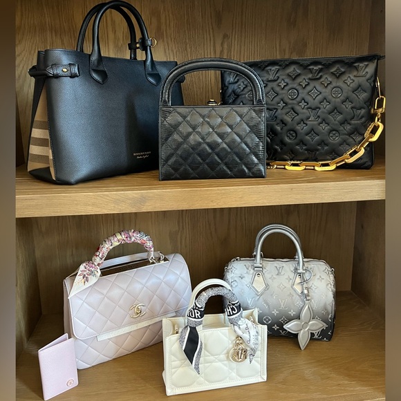 ❄️NEW Louis Vuitton Speedy Bandoulière 25 Snow Collection  LIMITED & SOL… - Picture 6 of 11